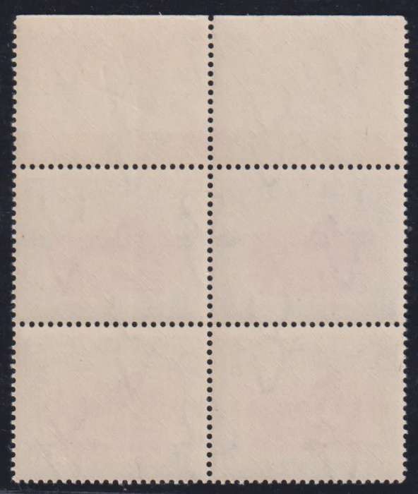 SA 1950/2  1/- SHEET NUMBER & ARROW BLOCKS UNMOUNTED MINT - CV R1700+