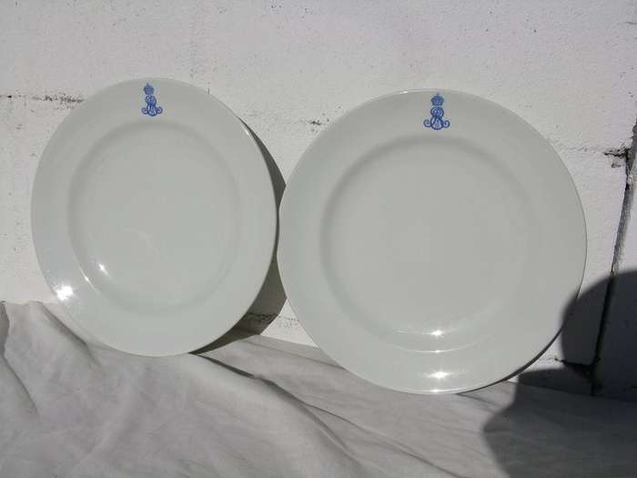 THE ROYAL PORCELAIN WORKS WORCESTER PLATE COMBO. 2 UNITS. D 27cm. P&P=R37.