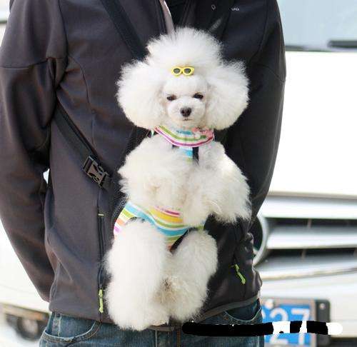 Dog carry bag (S)