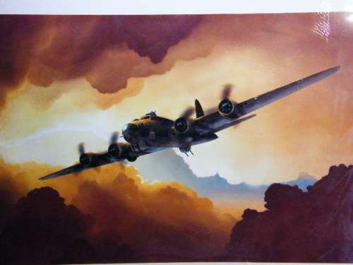 Military Aviation picture of US Air Force plane