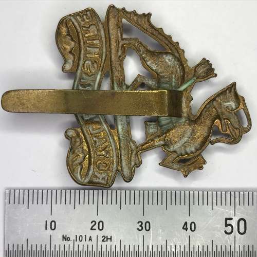 Royal Berkshire regiment cap badge