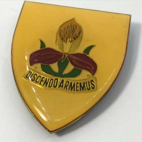 SADF Military academy shoulder flash