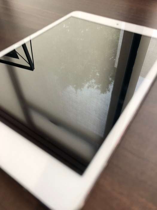 BARGAN DEAL - iPad Mini - WiFi + 4G Cellular - 16GB White and Silver