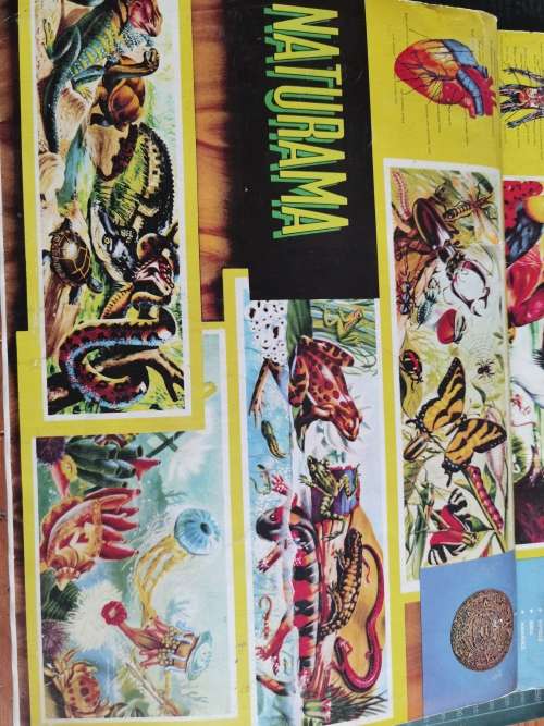 Vintage 1960 to 70`s Naturama sticker books