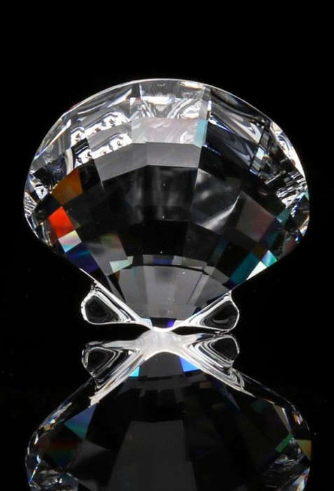 Swarovski Silver Crystal SCS 2006 Eternity Scallop Shell