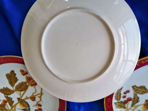 Hand Painted Gilded Porcelain Kingfisher Plates Circa 1800-1840