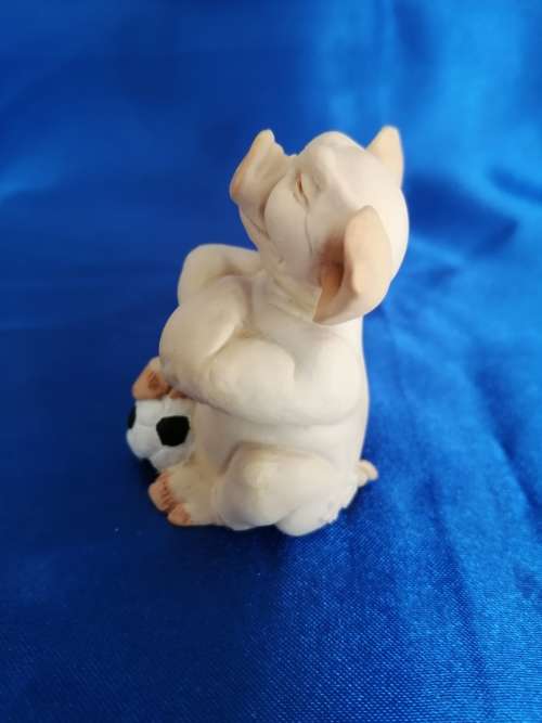 Pigtail Pigs Occupations ` Football `