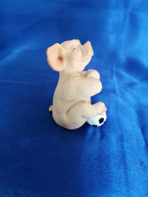 Pigtail Pigs Occupations ` Football `