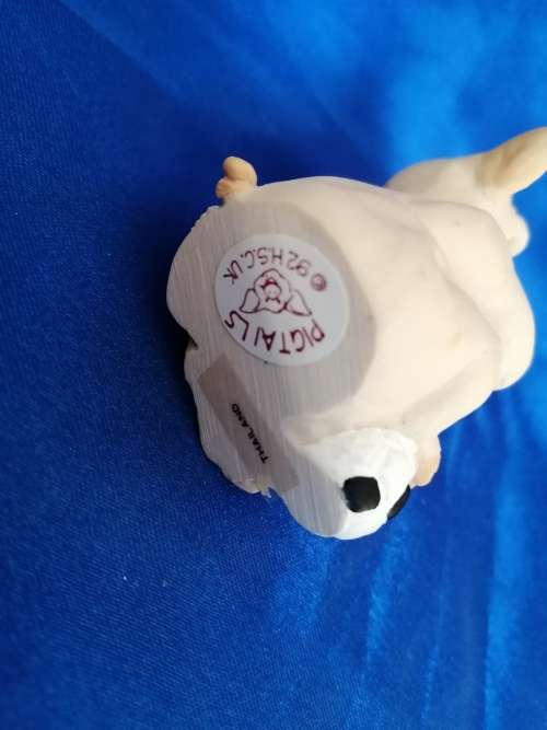 Pigtail Pigs Occupations ` Football `