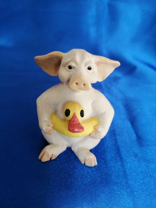Pigtail Pigs Occupations ` Swimming `