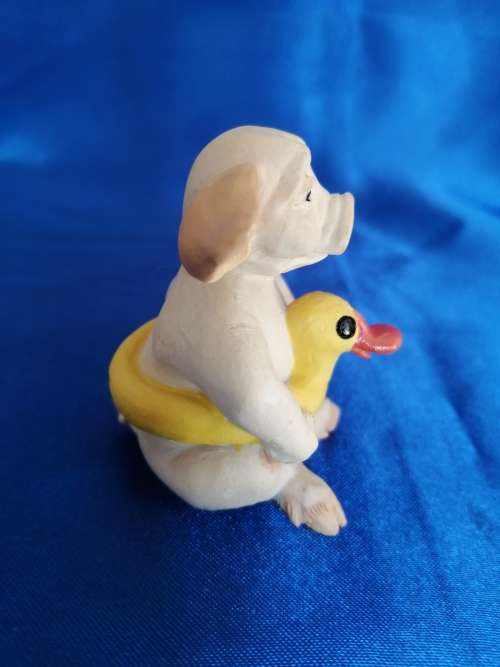 Pigtail Pigs Occupations ` Swimming `