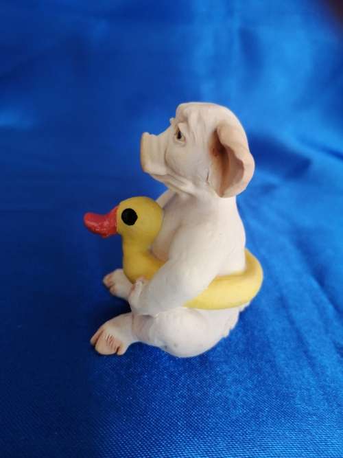 Pigtail Pigs Occupations ` Swimming `
