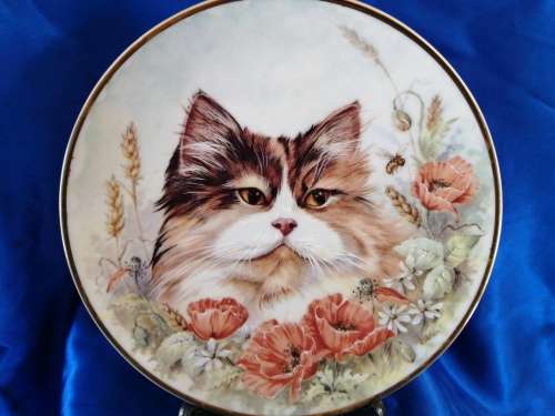 Stunning AJL Gifthouse Cute Long Haired Tabby Cat Plate