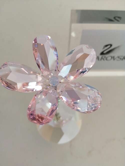 Swarovski Fiore Rosa Ondeggiante Lou Cristallo-rocking Flower Crystal