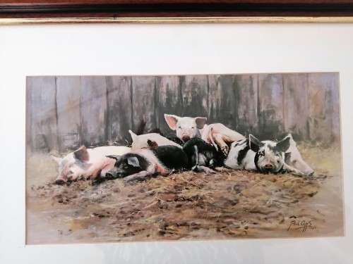Paul Apps Print resting pigs 1993 framed #