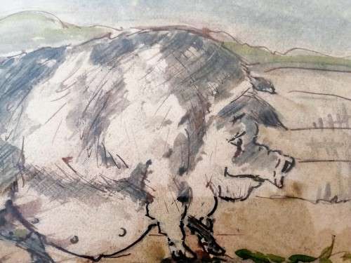 Antique Watercolour of Large Pig pre c1900 #
