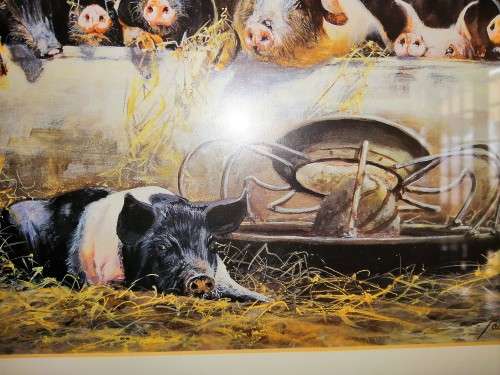 Paul Apps Print Resting Pigs 1993 Framed