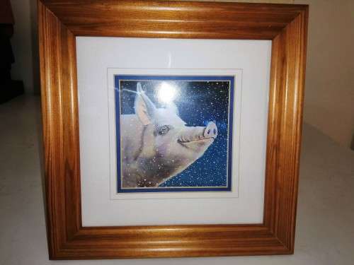 Stunning Pig under Moonlight LTD Print #