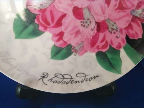 Maxwell and Williams The Garden Table Pink Flowers Plate
