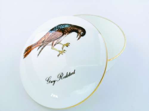 Wedgwood Birds of the World Susie Cooper trinket box and lid - Grey Redstart Bird