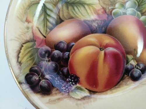 Aynsley Orchard Gold Coaster