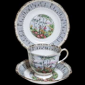 STUNNING ROYAL ALBERT SILVER BIRCH BONE CHINA TEA TRIO