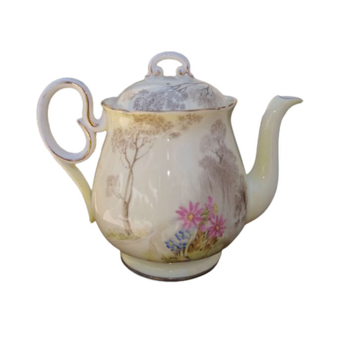 Shelley Fine Bone China Tea Pot Hand Painted Tree And Flower Decoration
