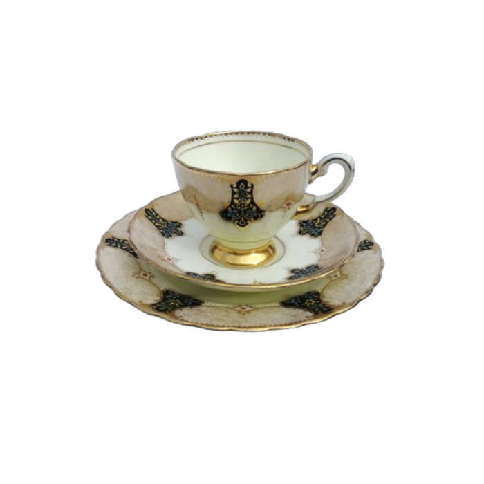 Plant Tuscan Trio Art Deco Black with Gold Accents