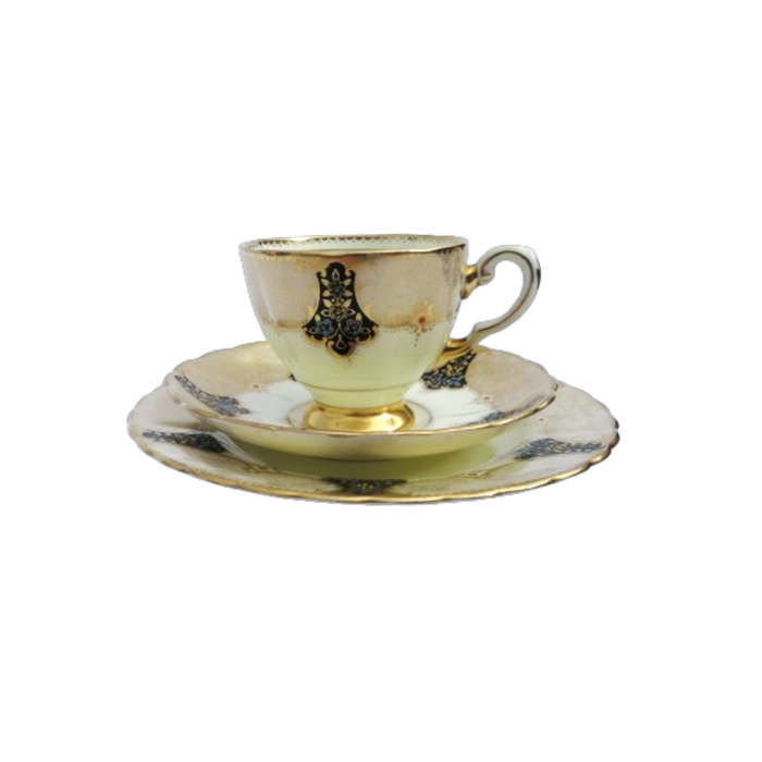 Plant Tuscan Trio Art Deco Black with Gold Accents