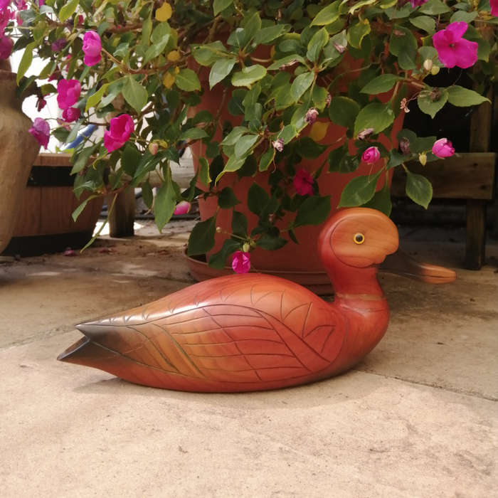 Birds of Africa carved and hand painted Pintail Duck