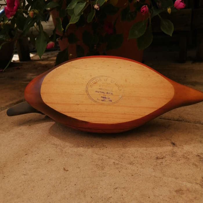Birds of Africa carved and hand painted Pintail Duck