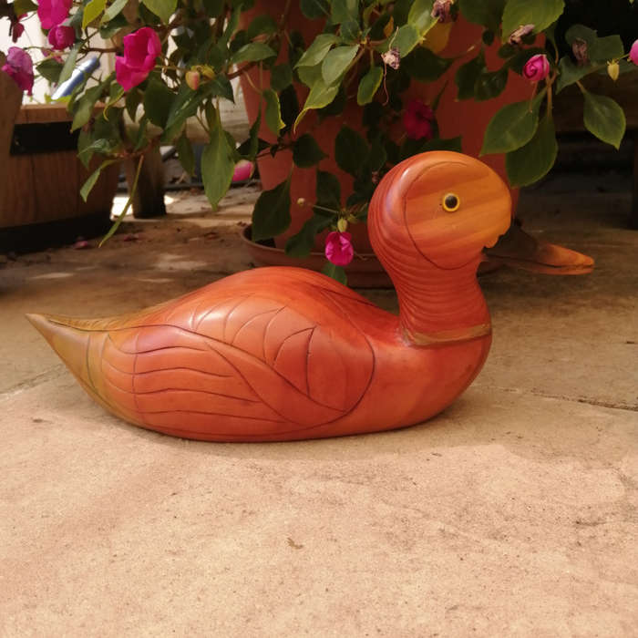 Birds of Africa carved and hand painted Pintail Duck