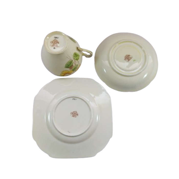Grafton Dawlish Fine Bone China Trio