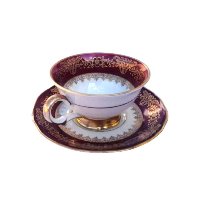 Scherzer Bavaria Porcelain Cup and Saucer Duo Turquoise Blue Gold decoration