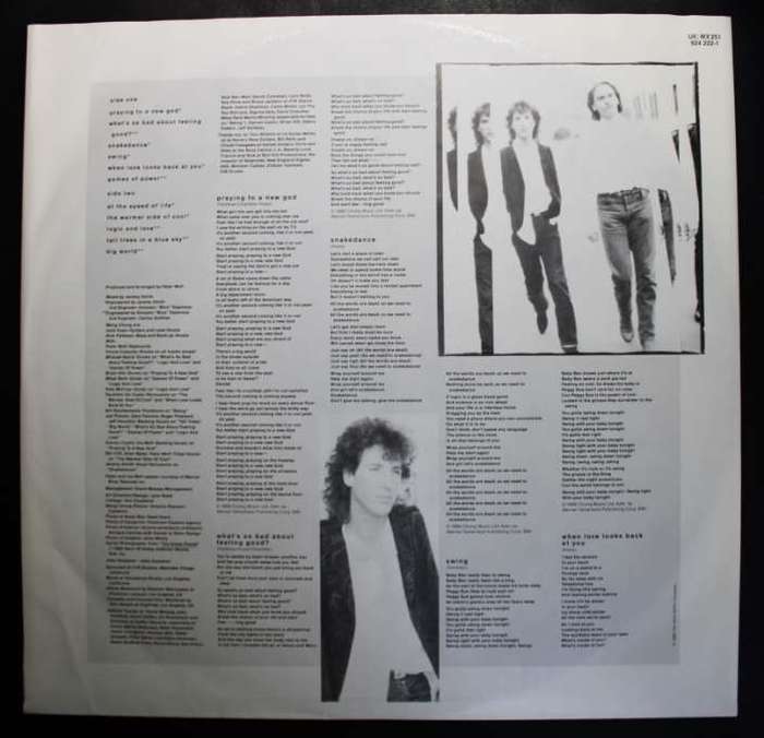 Wang Chung The Warmer Side Of Cool Vinyl LP
