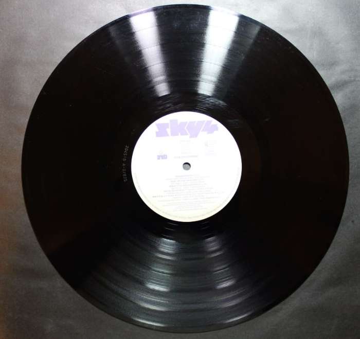 Sky 4 Forthcoming Vinyl LP