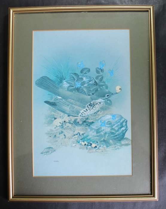 M J Pledger Drawings Set Of Three, Reproduction Prints of Birds in the Wild, Framed