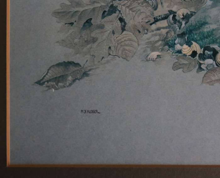 M J Pledger Drawings Set Of Three, Reproduction Prints of Birds in the Wild, Framed