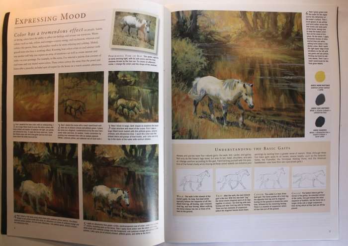 Learn to Paint Horses Set of 3 Leonardo and Walter Foster Art Softcover Books