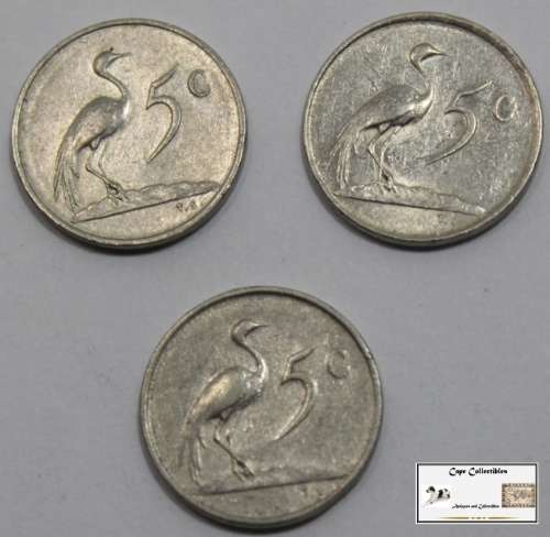 South Africa 5 Cent Coin 1982 x 3 (Three Coins) Circulated