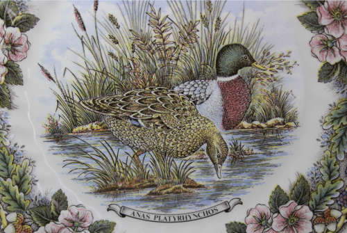 Vintage Decorative Wall Plate by Churchill - Wildlife Series `Anas Platyrhynchos` (Mallard Duck)