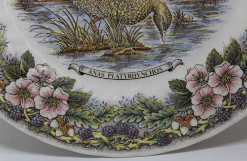 Vintage Decorative Wall Plate by Churchill - Wildlife Series `Anas Platyrhynchos` (Mallard Duck)