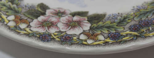 Vintage Decorative Wall Plate by Churchill - Wildlife Scenes Series `Meleagridiana` (Turkey)