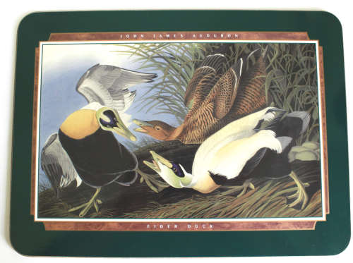 Jason Coasters of New Zealand Six x John James Audubon Design Place Mats