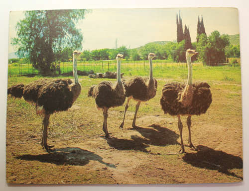Mobil Treasury Of Travels #1 The Little Karoo by TV Bulpin Booklet.