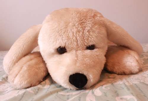 Decorative White Soft Toy Dog for the Bedroom