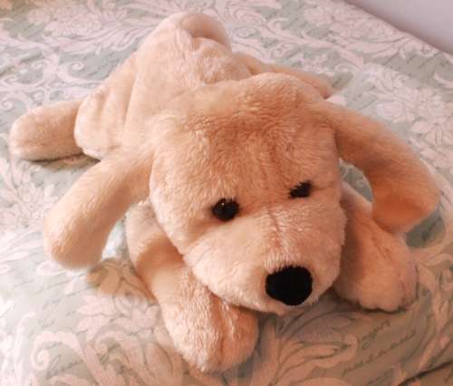 Decorative White Soft Toy Dog for the Bedroom