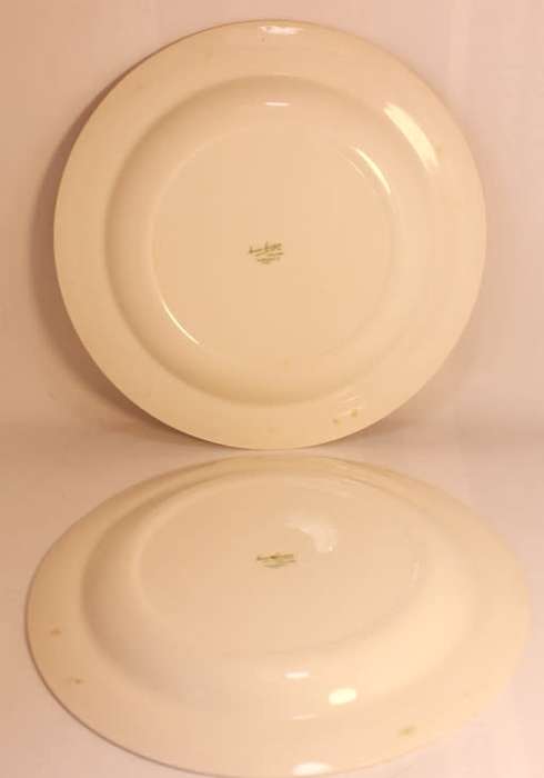 Pair Of Susie Cooper Gardenia E2405 Luncheon Plates 22.5cm