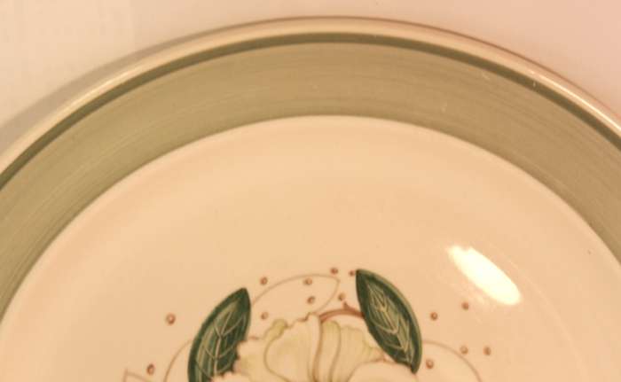 Susie Cooper Gardenia E2405 Entree Plate 25.0cm