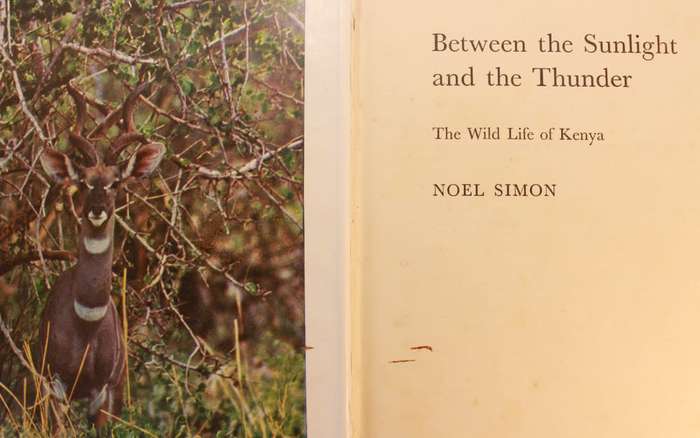 Between The Sunlight and the Thunder The Wildlife of Kenya by Noel Simon Hardcover Book
